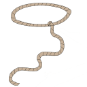 lasso