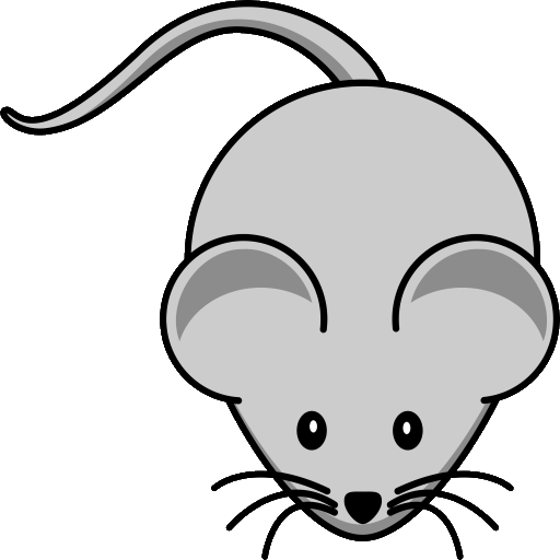 mouse