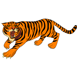 tiger