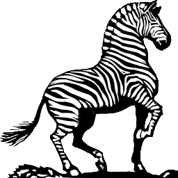 zebra